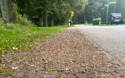 Neue Rasengittersteine Am Sportplatz